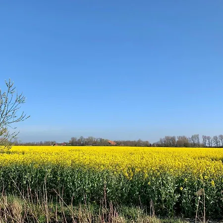 شقة Ferienhaus Sonne Krummhörn