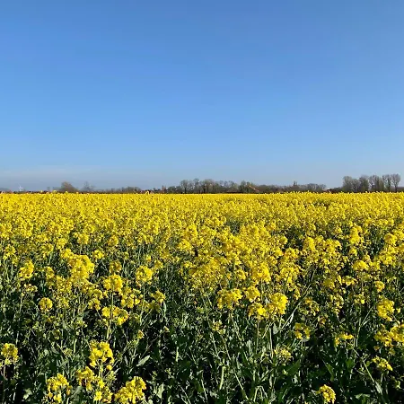 Ferienhaus Sonne * Krummhörn